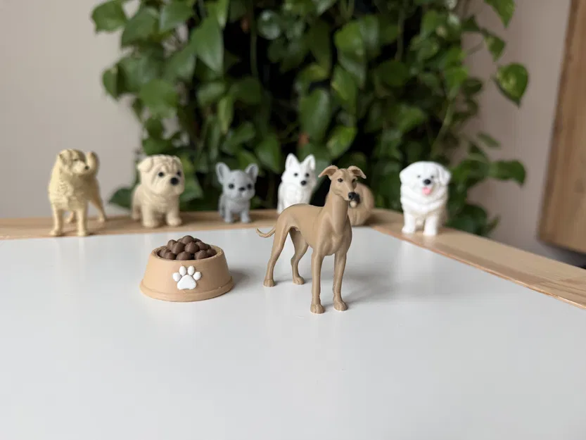 Greyhound – Mô hình chó săn thon gọn realistic - Image 1