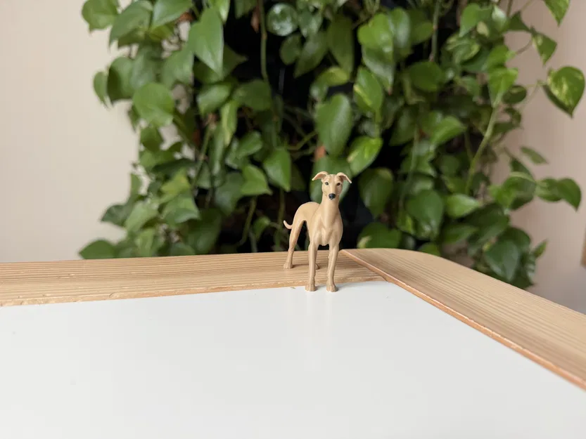Greyhound – Mô hình chó săn thon gọn realistic - Image 2