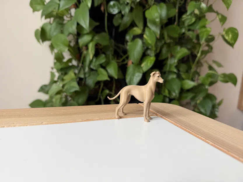 Greyhound – Mô hình chó săn thon gọn realistic - Image 3