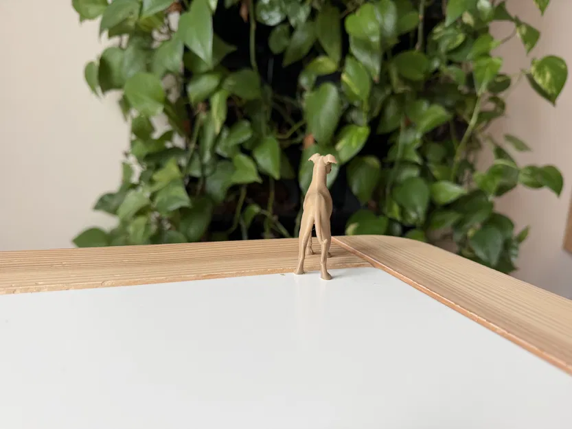 Greyhound – Mô hình chó săn thon gọn realistic - Image 4