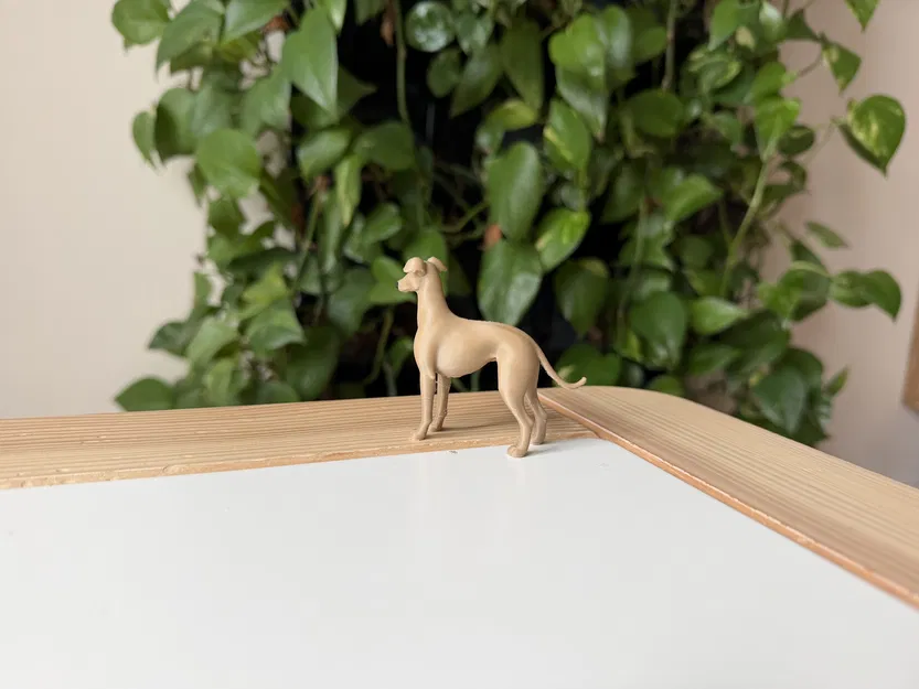 Greyhound – Mô hình chó săn thon gọn realistic - Image 5