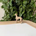 Greyhound – Mô hình chó săn thon gọn realistic - Thumbnail 5