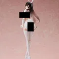 Anime / Hentai Kasumi Bunny Girl - Thumbnail 1