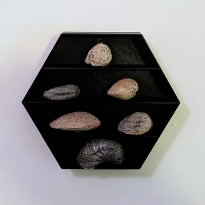 Kệ Hexagon Tùy Chỉnh - Tự Thiết Kế Độc Đáo