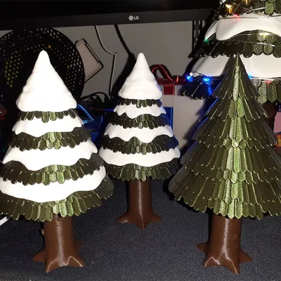 Cây Evergreen Phủ Tuyết