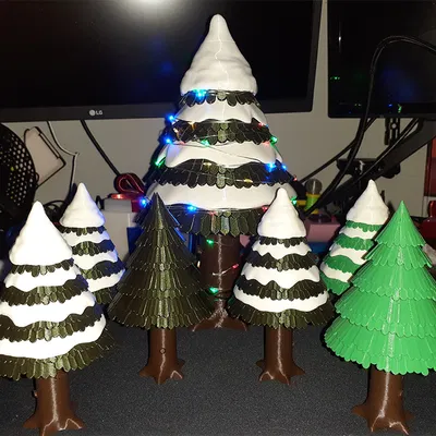 Cây Evergreen Phủ Tuyết