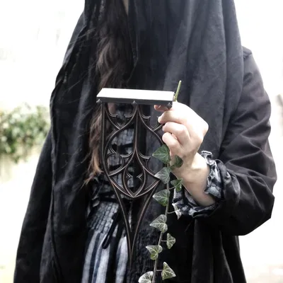 Kệ Treo Tường Lật Ngược Cho Dơi (Shelf for Bats)