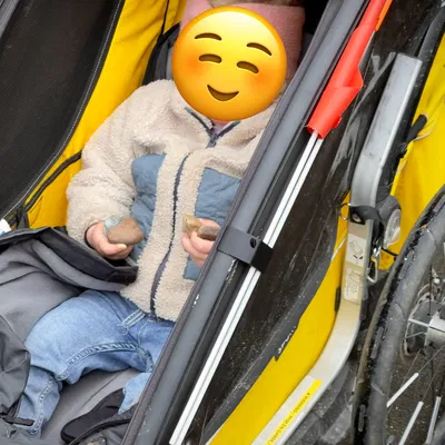 Thule Stroller Flag Holder reloaded V2