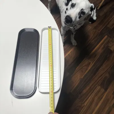 Khay Đựng Đồ Nhà Bếp Đa Năng (295x80x15mm)