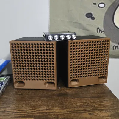 Thùng Loa 5.25 inch Tự In - Nâng Tầm Âm Thanh