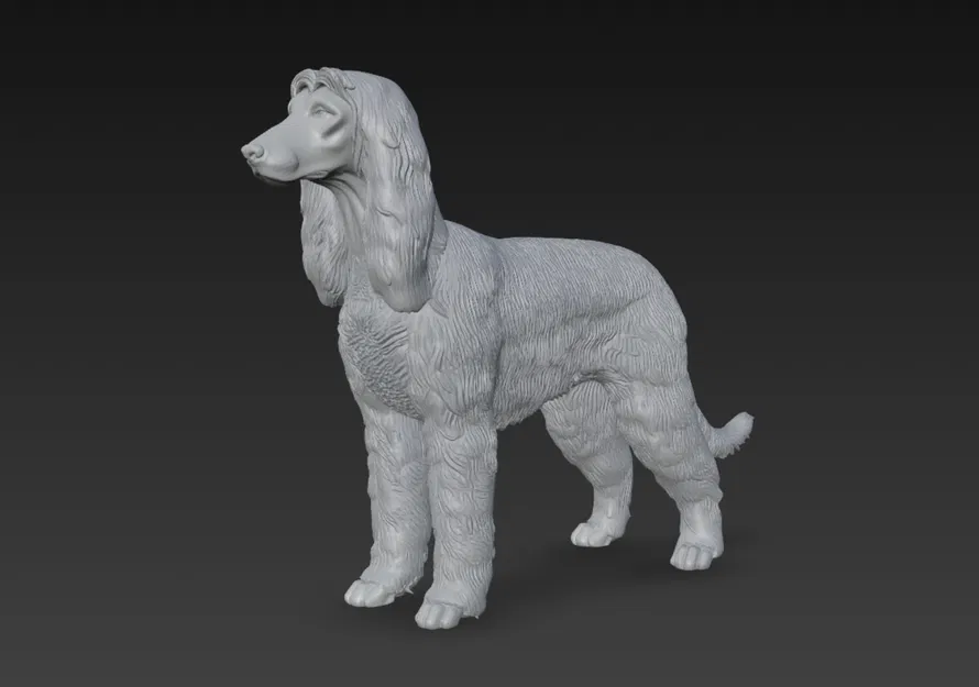Mô Hình Chó Afghan Hound 3D Đẹp Mắt - Image 1