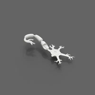 Mô hình Neuron (Neuron Model)