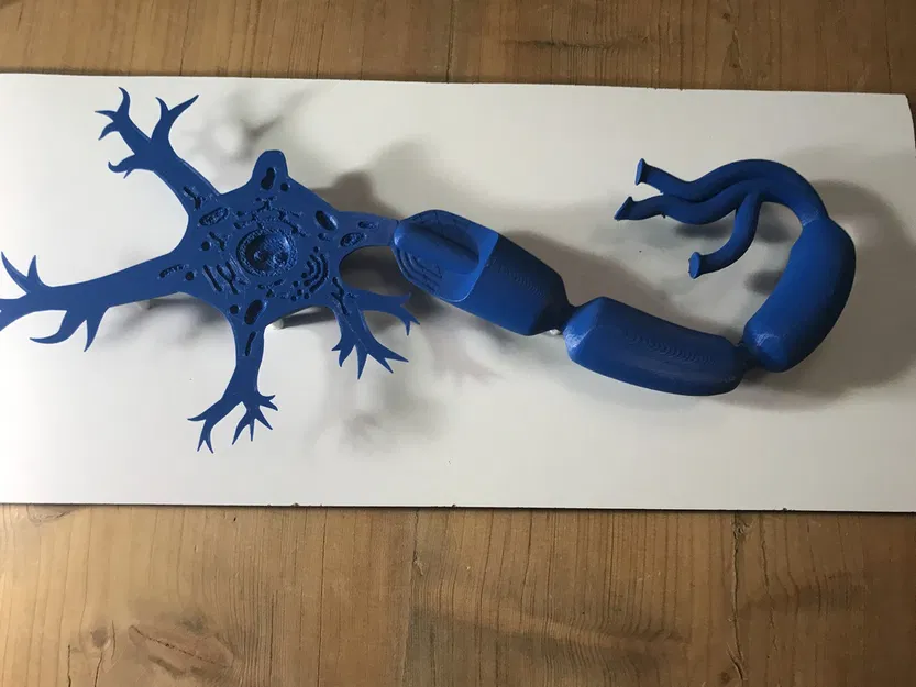 Mô hình Neuron (Neuron Model) - Image 2