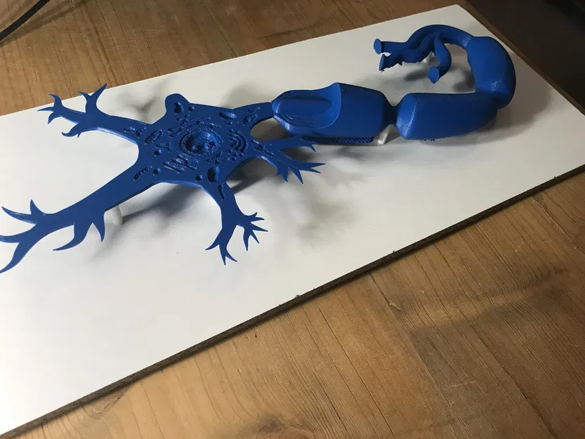 Mô hình Neuron (Neuron Model) - Image 3