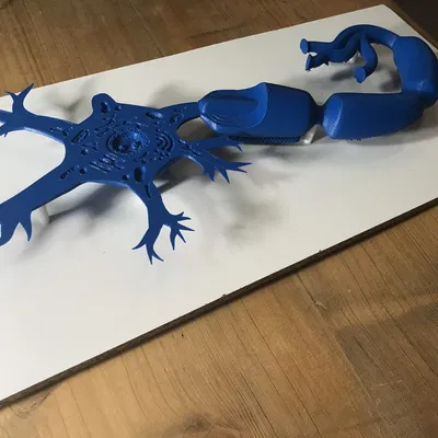 Mô hình Neuron (Neuron Model)