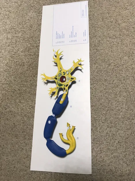 Mô hình Neuron (Neuron Model) - Image 4