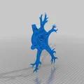 Mô hình Neuron (Neuron Model) - Thumbnail 5