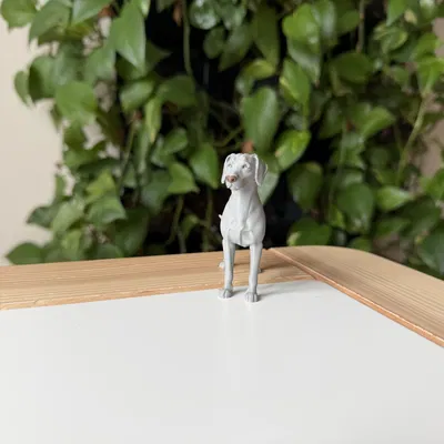 Mô hình chó Weimaraner