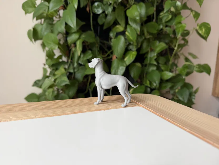 Mô hình chó Weimaraner - Image 5