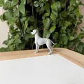 Mô hình chó Weimaraner - Thumbnail 5