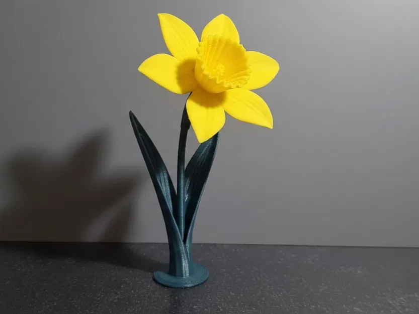 Daffodil (Hoa thủy tiên vàng) in 3D - Image 2