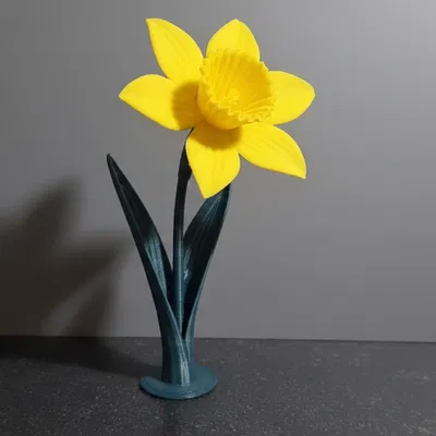 Daffodil (Hoa thủy tiên vàng) in 3D