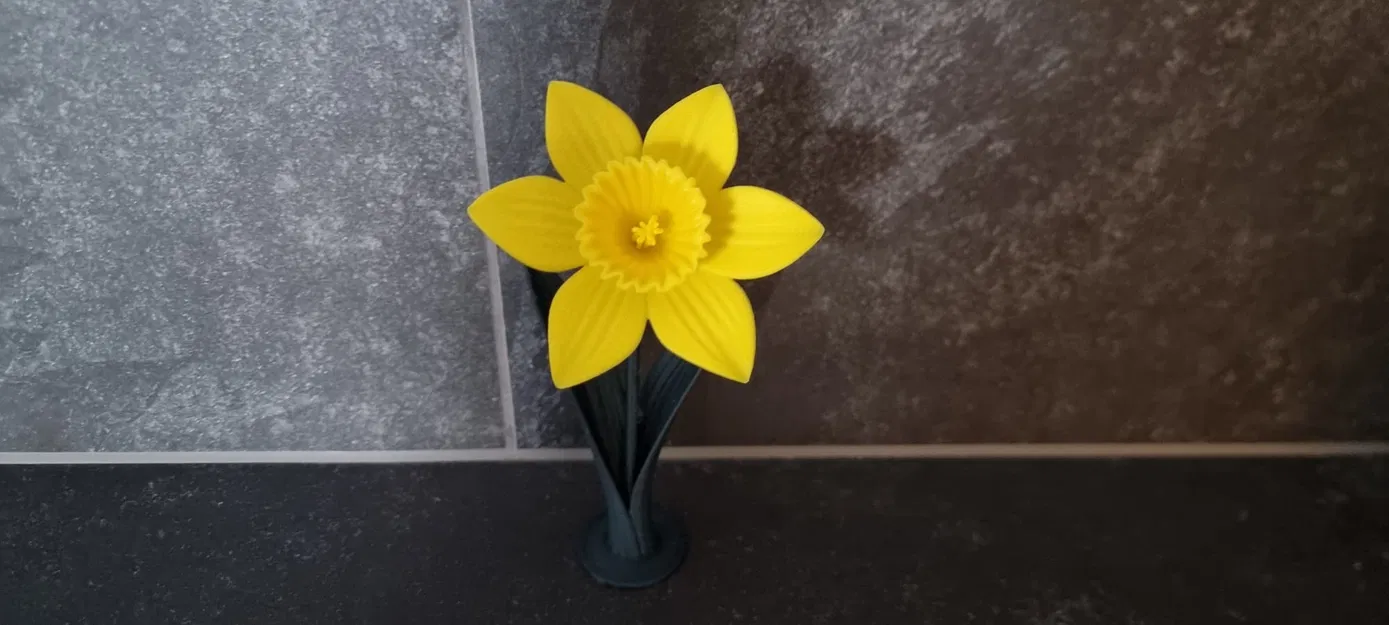 Daffodil (Hoa thủy tiên vàng) in 3D - Image 3