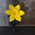 Daffodil (Hoa thủy tiên vàng) in 3D - Thumbnail 3