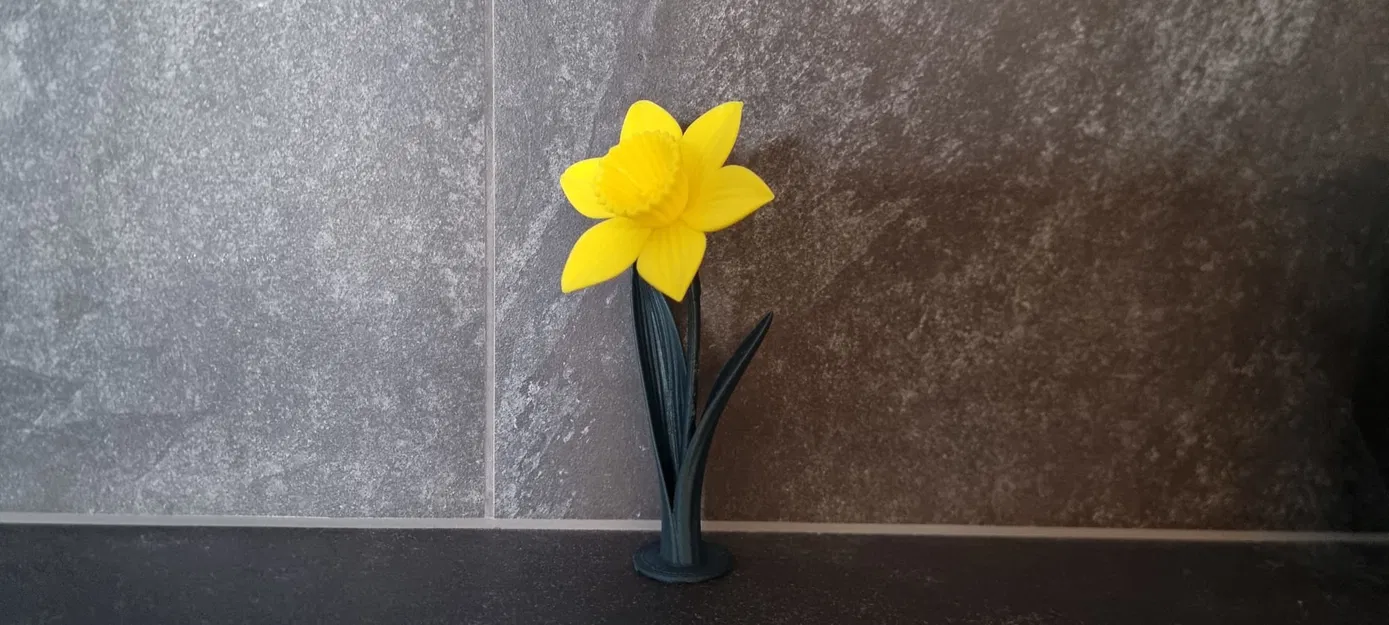 Daffodil (Hoa thủy tiên vàng) in 3D - Image 4