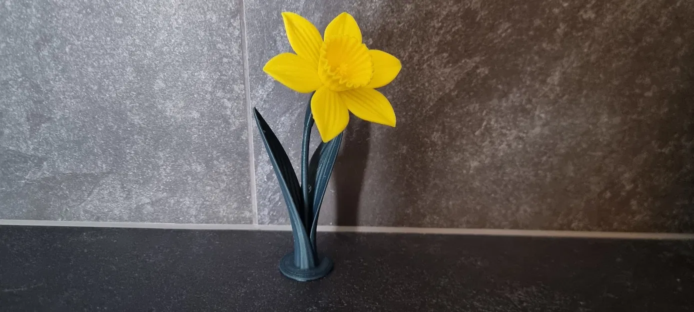 Daffodil (Hoa thủy tiên vàng) in 3D - Image 5