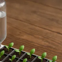 Khay Ươm Cây Thủy Canh Tự Động - Vườn Rau Sạch Tại Nhà