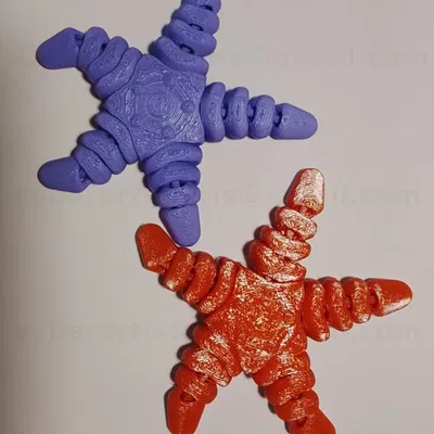 Đồ chơi sao biển Flexi khớp nối (Articulated Starfish Toy)