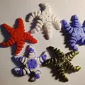 Đồ chơi sao biển Flexi khớp nối (Articulated Starfish Toy) - Thumbnail 3