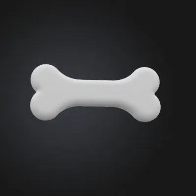 Mô Hình Xương 3D - Đồ Trang Trí Sáng Tạo