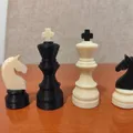 Bộ Cờ Vua In Không Cần Support (Support Free Chess) - Thumbnail 2