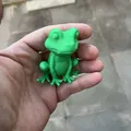 Ếch Dễ Thương Ngồi (Cute Frogs Sitting) - Thumbnail 2