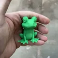 Ếch Dễ Thương Ngồi (Cute Frogs Sitting) - Thumbnail 5