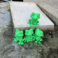 Ếch Dễ Thương Ngồi (Cute Frogs Sitting) - Thumbnail 7