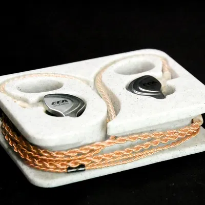 Hộp Đựng Tai Nghe IEM Cá Nhân Hóa Chống Sốc