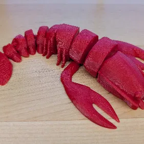 Tôm Hùm Khớp Nối (Articulated Lobster)