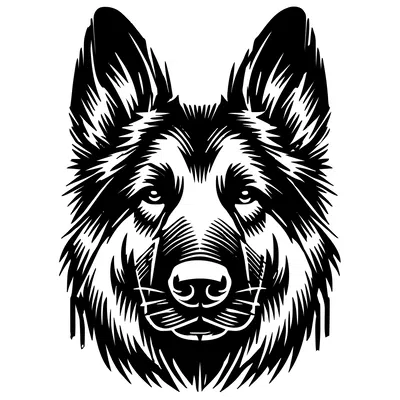 Tượng Chó Becgie Nghệ Thuật Trang Trí Nhà Cửa 3D