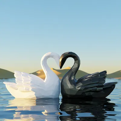 Cặp Thiên Nga Âu Yếm Valentine Tạo Hình Trái Tim