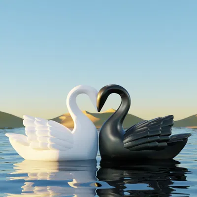 Cặp Thiên Nga Âu Yếm Valentine Tạo Hình Trái Tim