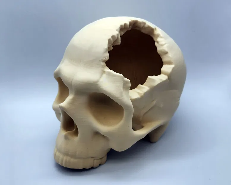 Hộp Sọ “Major Headache Skull” - Image 1