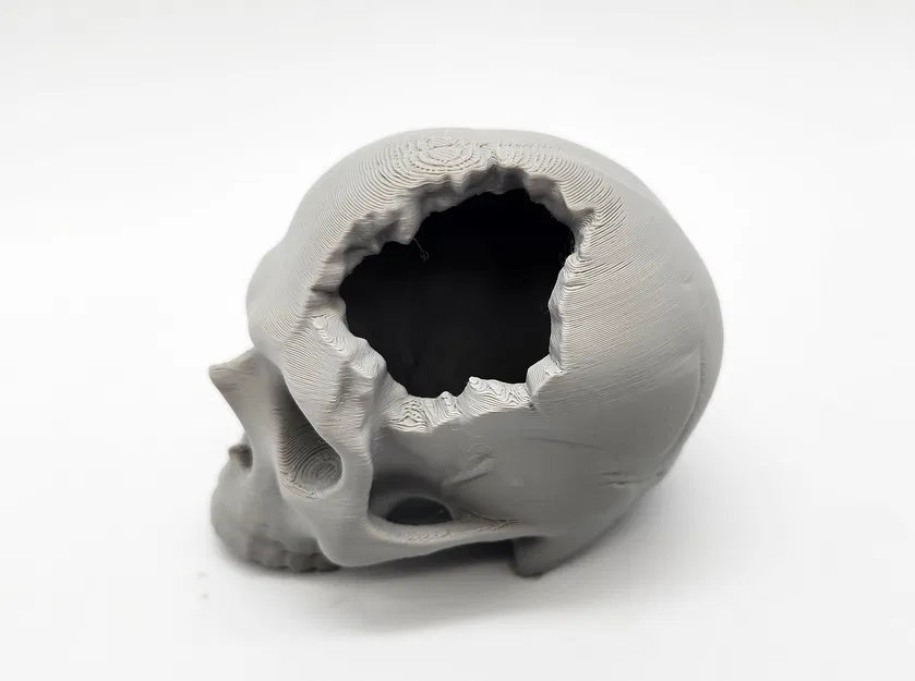 Hộp Sọ “Major Headache Skull” - Image 3