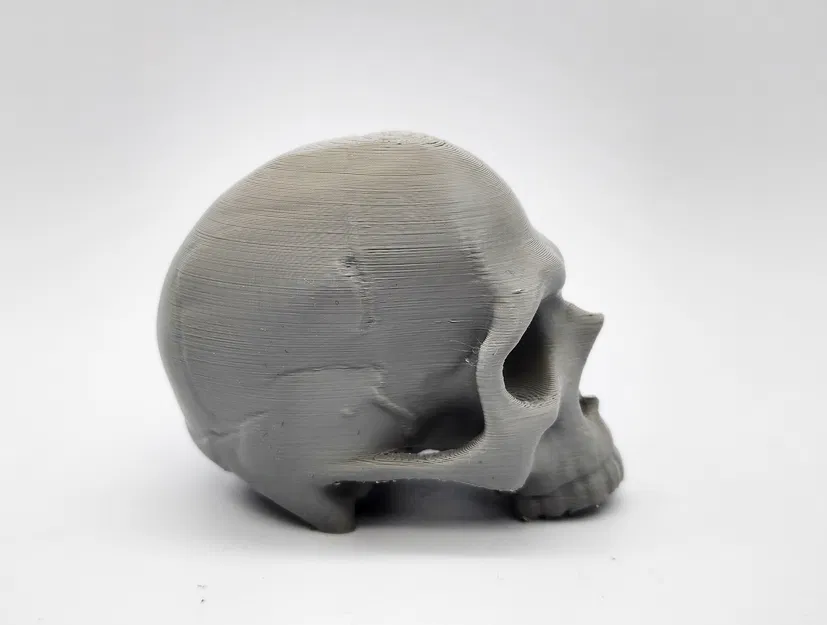 Hộp Sọ “Major Headache Skull” - Image 4