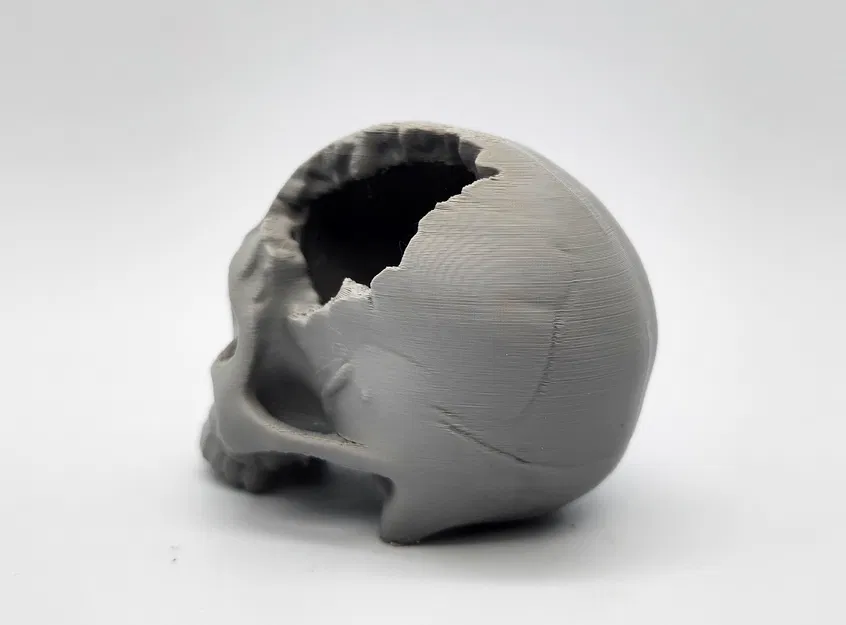 Hộp Sọ “Major Headache Skull” - Image 6