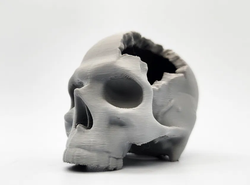 Hộp Sọ “Major Headache Skull” - Image 7