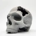 Hộp Sọ “Major Headache Skull” - Thumbnail 7