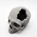 Hộp Sọ “Major Headache Skull” - Thumbnail 8